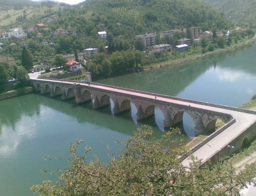 Drina basin water resources management