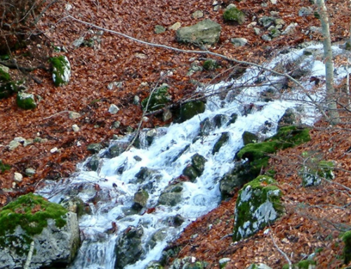Support the sustainable management and rational use of water resources in Pescara Province