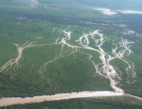 Hydro-sedimentology dynamic in Pilcomayo river basin