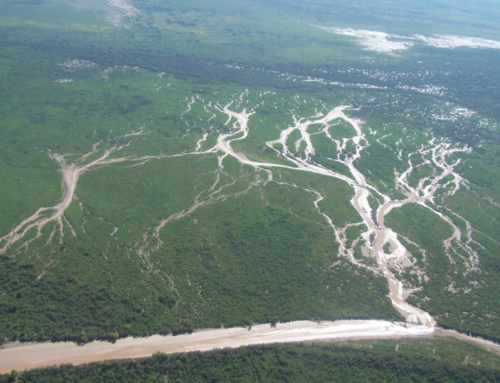 Plan Maestro de la Cuenca del Río Pilcomayo (PY)