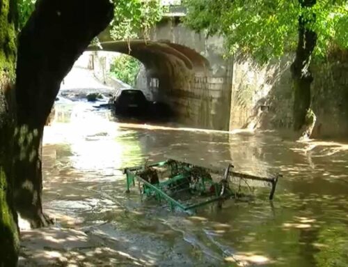 Hydraulics works in the Sarno river (IT)